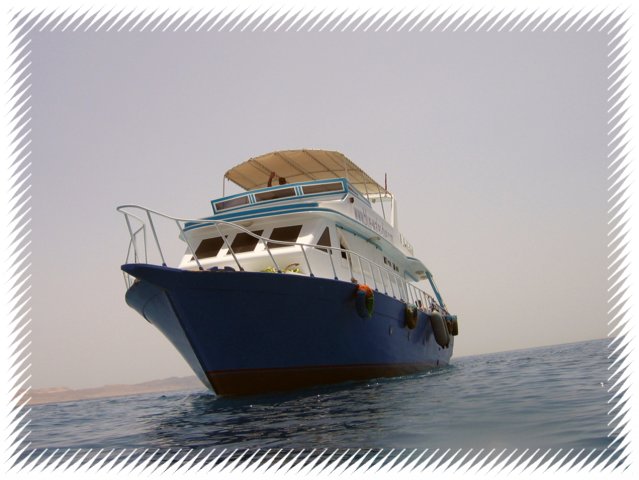 012 Mai 05 Blue Water Dive Hurghada