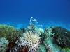 09 12 Blue Water Dive Hurghada 07